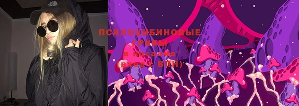 mix Алексеевка