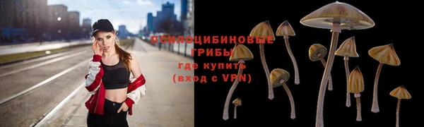 марки lsd Алексин