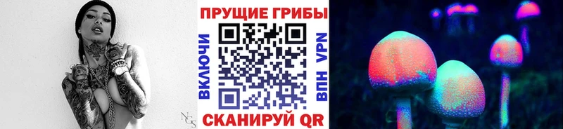 KRAKEN ссылка  как найти наркотики  Сольвычегодск  Псилоцибиновые грибы Magic Shrooms 